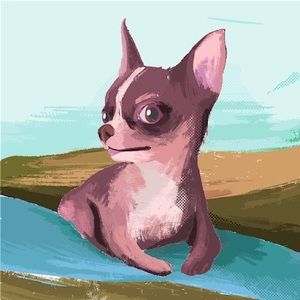 Meet your Posher, Hailey